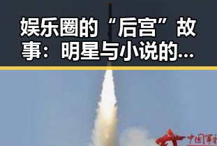 娱乐圈的“后宫”故事:明星与小说的奇妙碰撞
